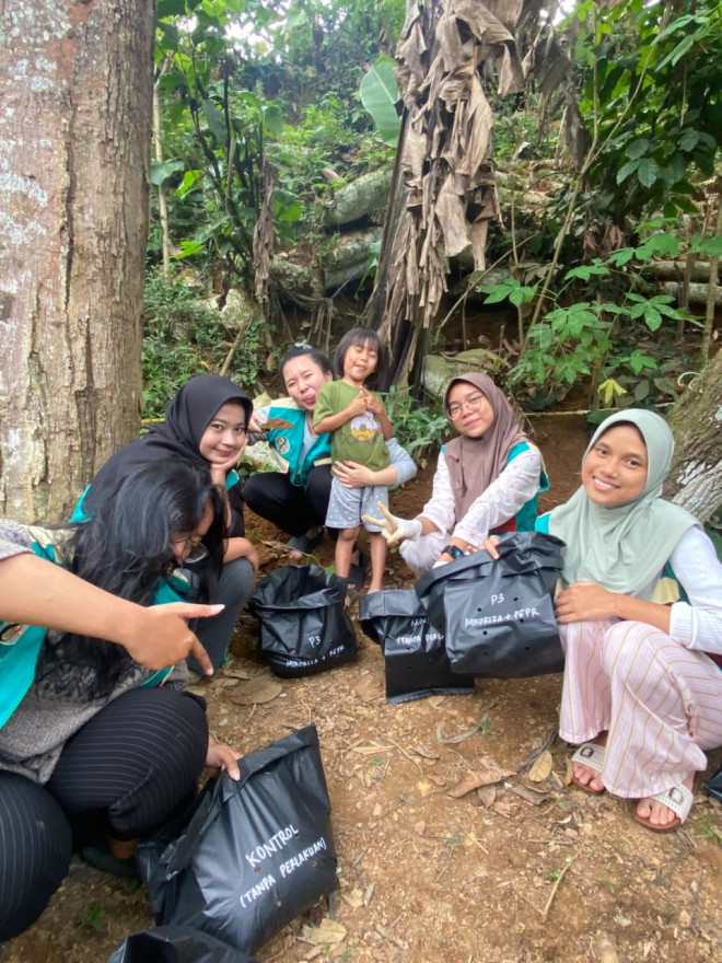 Demonstransi Penanaman Jagung menggunakan Mikoriza dan PGPR